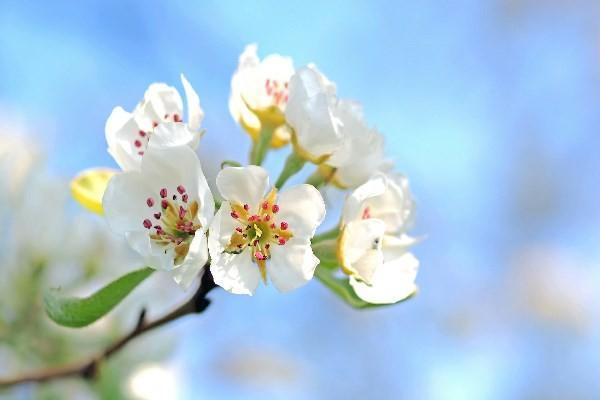 終身重疾險(xiǎn)退保的話能拿本金嗎？退保的流程是什么？