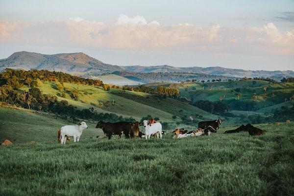 友邦保險住院醫(yī)療保險有哪些？有哪些優(yōu)勢？