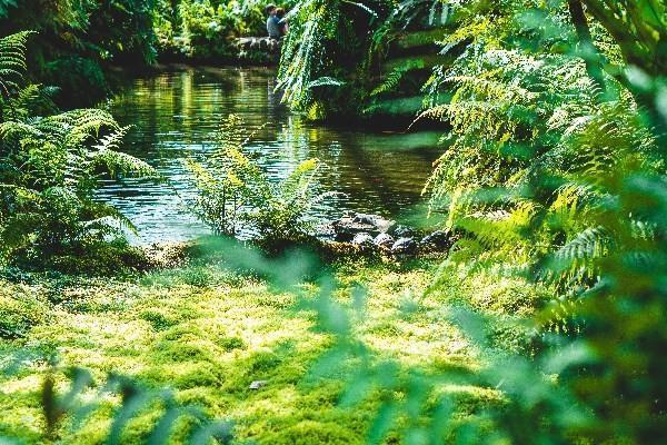 友邦醫(yī)療險住院報銷比例是多少？報銷流程有哪些？