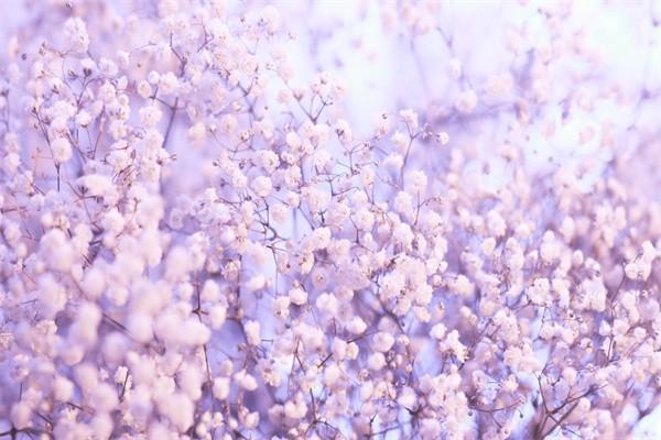 兩口子都交了生育險(xiǎn)怎么報(bào)銷？報(bào)銷比例是多少？