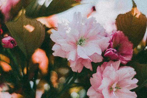 醫(yī)享無(wú)憂惠享版是哪個(gè)保險(xiǎn)公司的？有哪些優(yōu)勢(shì)？