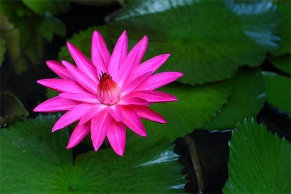 安全的短期理財(cái)方式有哪些？六種安全短期理財(cái)方式詳解