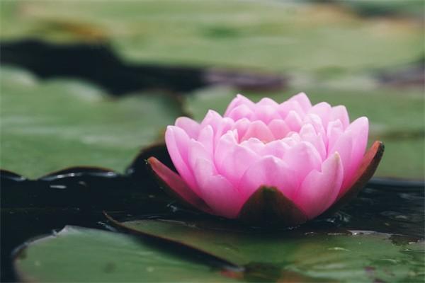 婚前買(mǎi)的保險(xiǎn)婚后算共同財(cái)產(chǎn)嗎