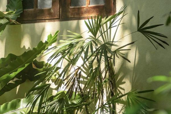 在猶豫期內(nèi)退保錢多長(zhǎng)時(shí)間可以到賬？可以退多少錢？