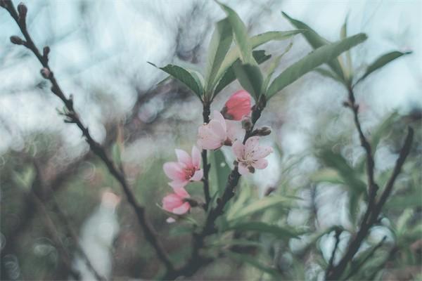 意外縫針學(xué)平險可以報銷嗎？如何報銷？