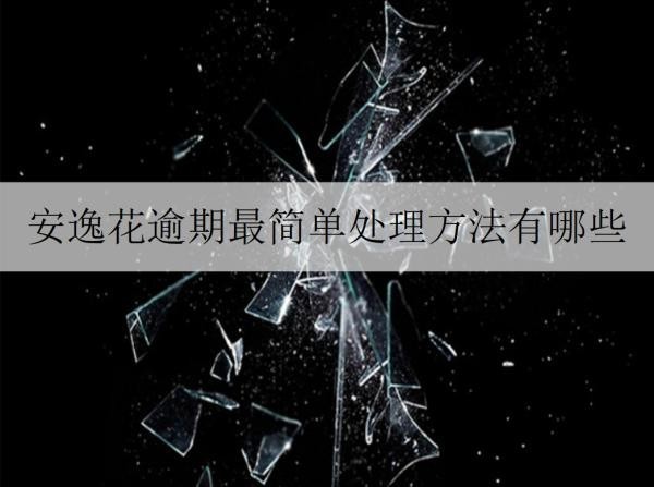 安逸花逾期最簡(jiǎn)單處理方法有哪些？逾期會(huì)怎樣嗎？
