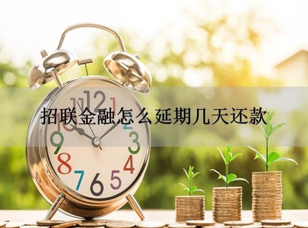 招聯(lián)金融怎么延期幾天還款？三種方式