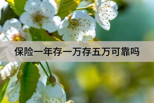 保險(xiǎn)一年存一萬(wàn)存五萬(wàn)可靠嗎？值得買(mǎi)嗎？
