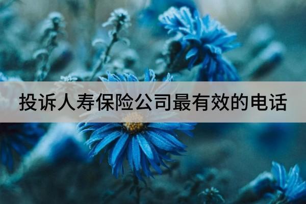 投訴人壽保險(xiǎn)公司最有效的電話是什么？技巧是什么？