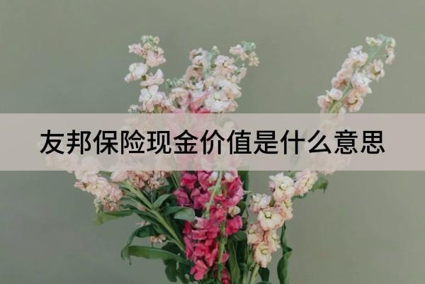 友邦保險(xiǎn)現(xiàn)金價(jià)值是什么意思？怎么看？