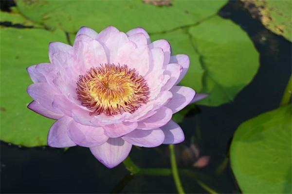 提交失業(yè)保險(xiǎn)金需要什么附件？流程是什么？
