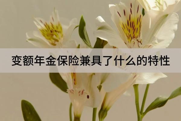 變額年金保險(xiǎn)兼具了什么的特性？區(qū)別是什么？