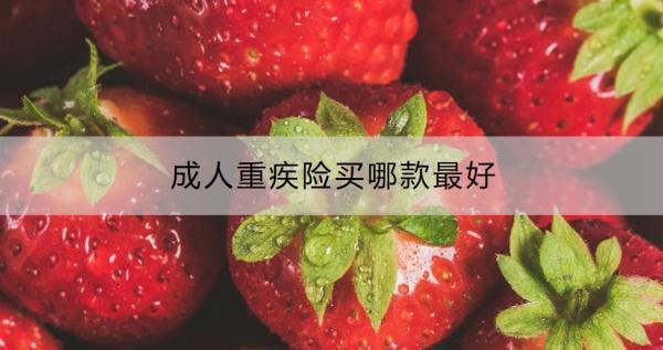 成人重疾險買哪款最好？有必要買嗎？