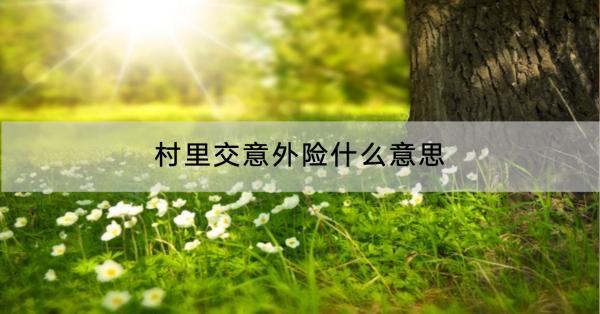 村里交意外險(xiǎn)什么意思