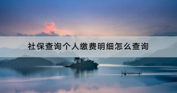 社保查詢個人繳費明細怎么查詢？怎么繳費？