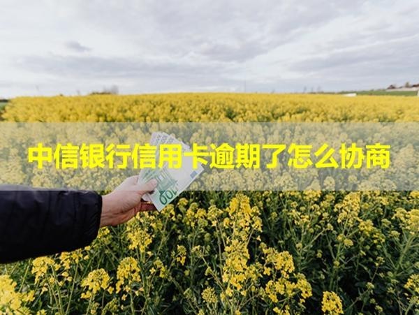 中信銀行信用卡逾期了怎么協(xié)商？必看篇！