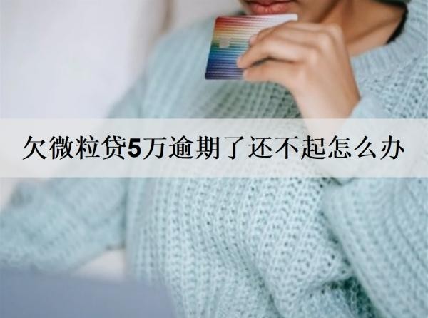 欠微粒貸5萬(wàn)逾期了還不起怎么辦？詳細(xì)分析微粒貸逾期解決辦法