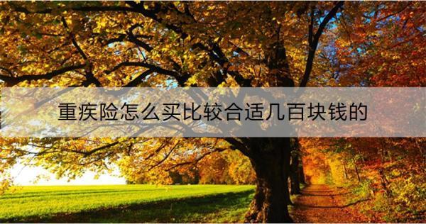 重疾險(xiǎn)怎么買(mǎi)比較合適幾百塊錢(qián)的？購(gòu)買(mǎi)前提條件是什么？