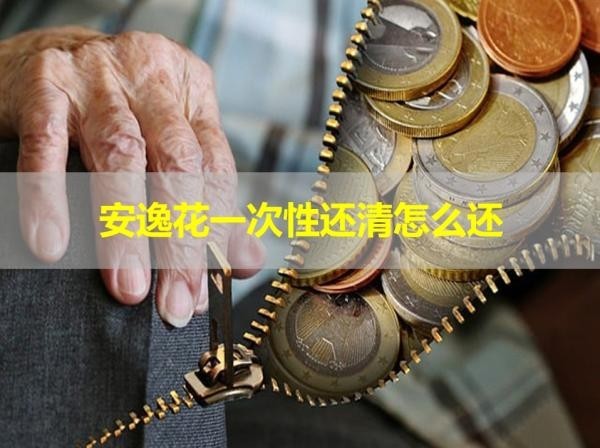 安逸花一次性還清怎么還？詳細(xì)步驟