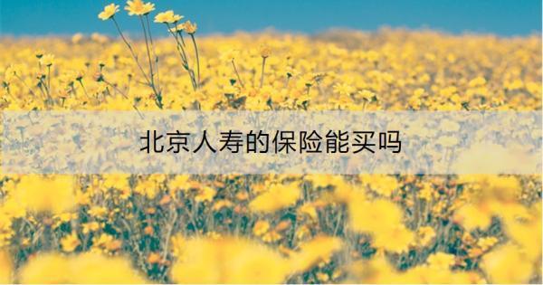 北京人壽的保險(xiǎn)能買嗎？從這三個(gè)方面來看