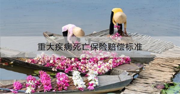 重大疾病死亡保險(xiǎn)賠償標(biāo)準(zhǔn)是什么？賠償流程是什么？