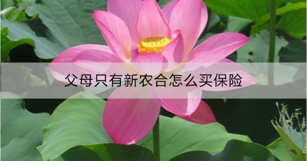 父母只有新農(nóng)合怎么買保險？買保險要注意什么？