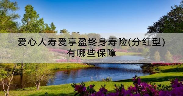 愛心人壽愛享盈終身壽險(xiǎn)(分紅型)有哪些保障？怎么樣？