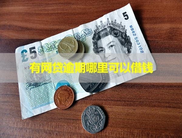 有網(wǎng)貸逾期哪里可以借錢？這些可以