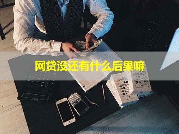 網(wǎng)貸沒(méi)還有什么后果嘛？很嚴(yán)重