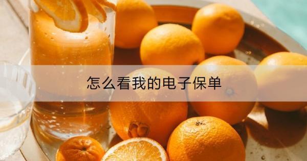 怎么看我的電子保單？電子保單的好處有哪些？