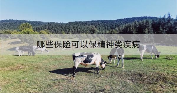 哪些保險(xiǎn)可以保精神類疾?。抠I保險(xiǎn)要注意什么？