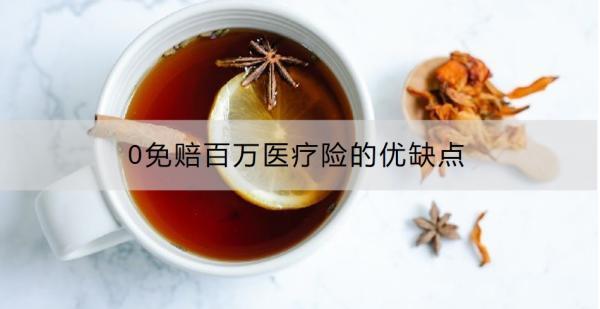 0免賠百萬(wàn)醫(yī)療險(xiǎn)的優(yōu)缺點(diǎn)
