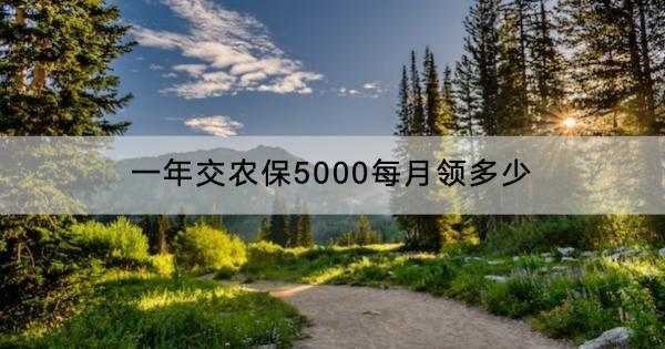 一年交農(nóng)保5000每月領(lǐng)多少？怎么繳納？