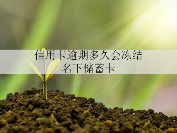 信用卡逾期多久會(huì)凍結(jié)名下儲(chǔ)蓄卡？暫時(shí)還不上咋辦？