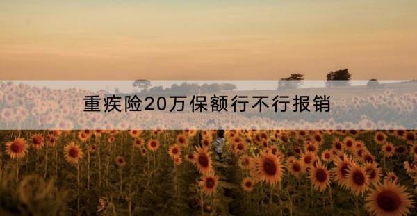 重疾險20萬保額行不行報銷？購買條件是什么？