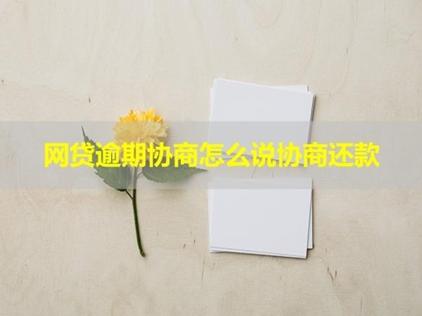 網(wǎng)貸逾期協(xié)商怎么說協(xié)商還款？三步即可完成
