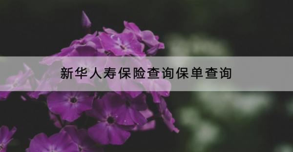 新華人壽保險查詢保單查詢怎么查？保單號是什么？