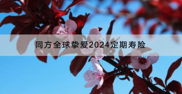 同方全球摯愛(ài)2024定期壽險(xiǎn)有哪些投保規(guī)則？有什么保障？