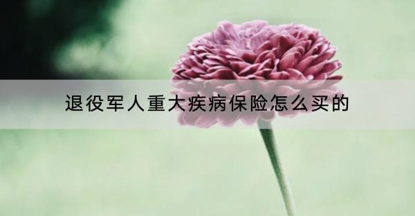 退役軍人重大疾病保險怎么買的？購買有什么好處？