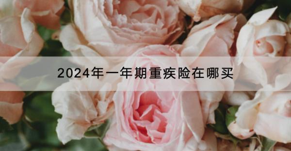 2024年一年期重疾險(xiǎn)在哪買？哪款產(chǎn)品好？