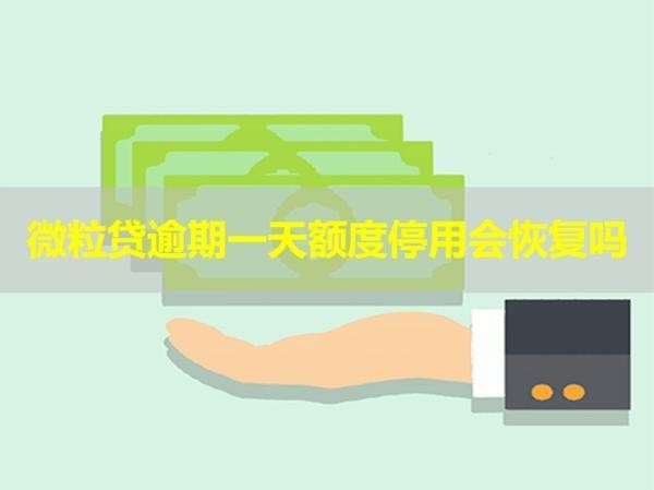 微粒貸逾期一天額度停用會(huì)恢復(fù)嗎？看完就知道