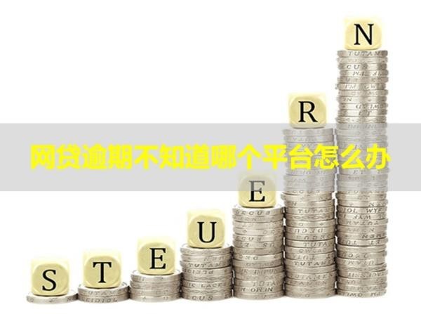 網(wǎng)貸逾期不知道哪個平臺怎么辦？詳情分析