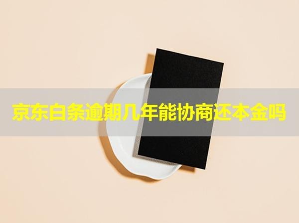 京東白條逾期幾年能協(xié)商還本金嗎？具體流程