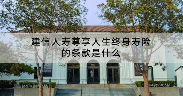 建信人壽尊享人生終身壽險的條款是什么？怎么樣？