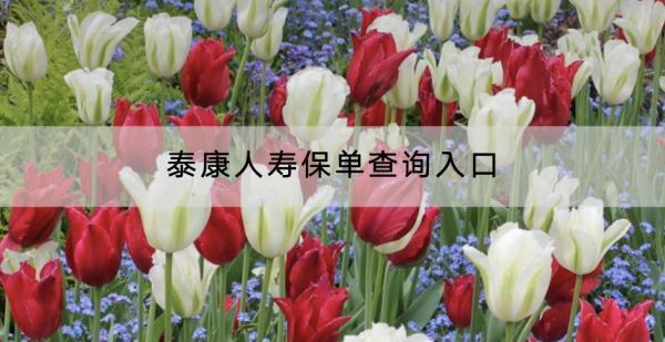 泰康人壽保單查詢?nèi)肟谑鞘裁矗亢貌缓茫?/>
                                            </div>
                                        </a>
                                        <div   id=
