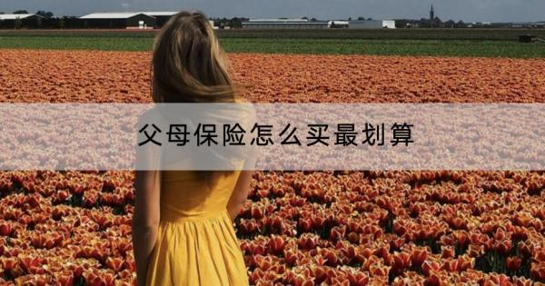 父母保險怎么買最劃算？一般多少錢？