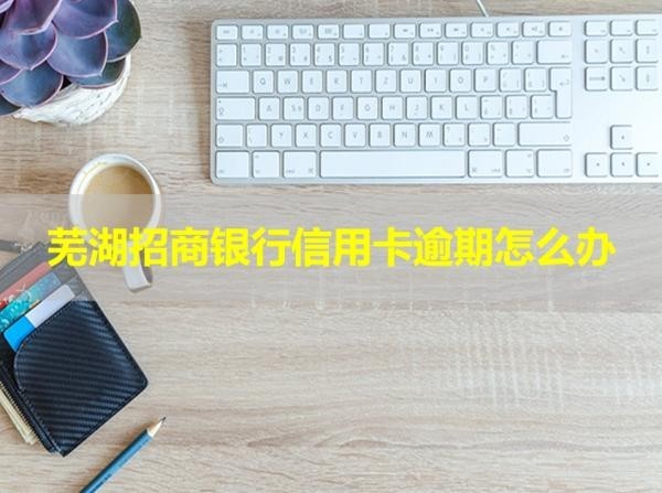蕪湖招商銀行信用卡逾期怎么辦？幾步解決