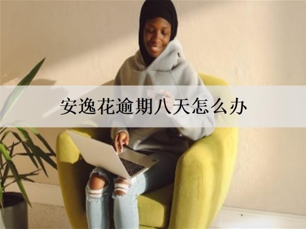安逸花逾期八天怎么辦？安逸花逾期處理辦法及后果介紹
