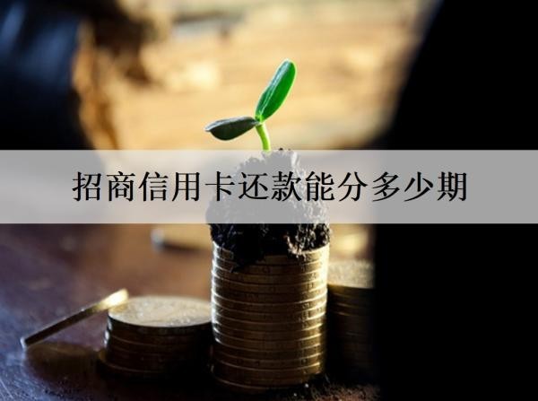 招商信用卡還款能分多少期？分期有哪些優(yōu)勢？