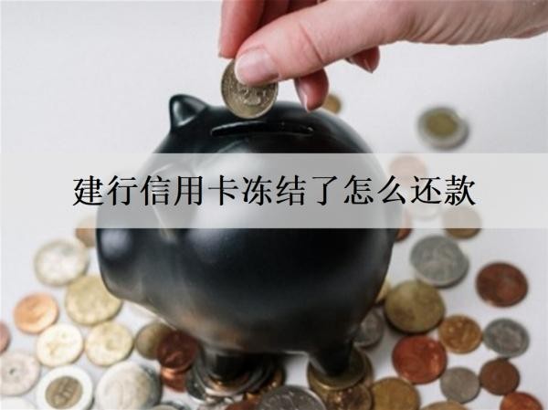建行信用卡凍結(jié)了怎么還款？還款最高能分幾期？